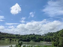 -广东花都湖国家湿地公园