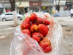 -雪儿钱局泡菜