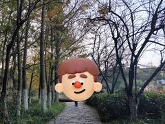 -白马涧龙池景区