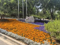 -北宫国家森林公园