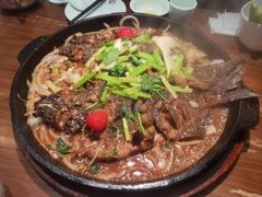 -老板恋上鱼(高新万达店)