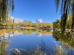 -新疆那拉提国家旅游度假区