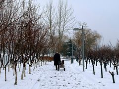 -大兴滨河森林公园