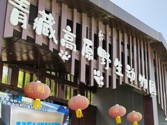 -青藏高原野生动物园