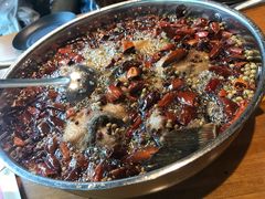 -望京一号·重庆江湖菜(工体店)