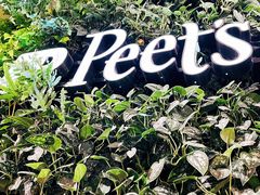 -Peet's Coffee皮爷咖啡(德基店)