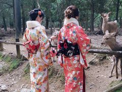 -枫雅和服体验(奈良店)