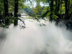 -国家植物园南园