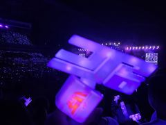 -甘家界牌柠檬鸭(青山店)