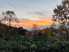 -塔川景区
