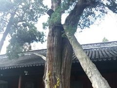 -汇龙潭