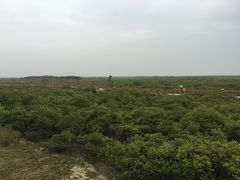 -北海金海湾红树林生态旅游区