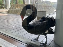 -中海·庐山西海君澜度假酒店·味屿全日制餐厅