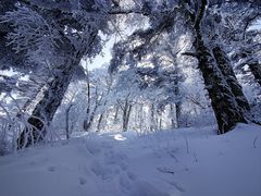 -秦岭风景区