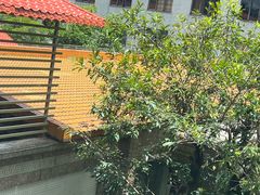 -番禺宾馆丽苑厅