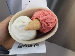 -极拉图·现制冰淇淋(大卫城店)