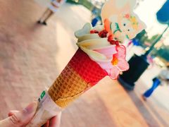 琳娜贝儿草莓香草华夫筒-IL paperino帕帕里诺冰激凌