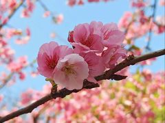-静安雕塑公园