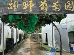 -嘉北郊野公园