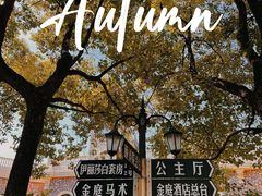 -金庭庄园酒店-停车场