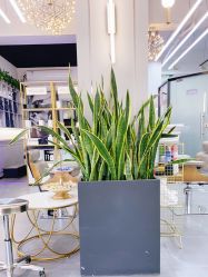 -FUTURE HN男士发型风格设计