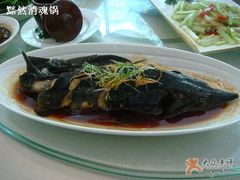 中华鲟-天明山温泉大酒店