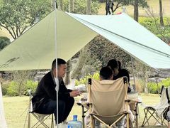 -铁山坪森林公园