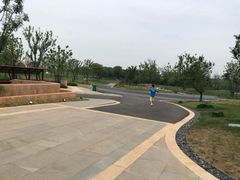 -盘龙城国家考古遗址公园