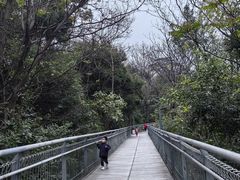 -佛山华盖山公园