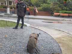 -J Create城市露营咖啡·简餐·宠物(上海动物园店)