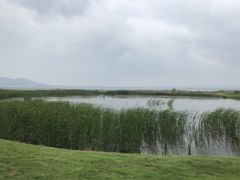 -烟墩角天鹅湖