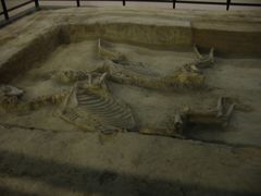 -洛阳周王城天子驾六博物馆