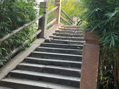 -黎里古镇