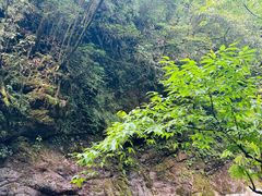 -西岭雪山大飞水景区