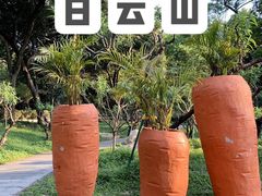 -广州市白云山风景名胜区