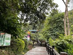 -天鹿湖森林公园