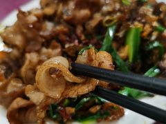 -灯盏窝饭店(新都分店)