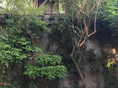 -阿马土菜馆