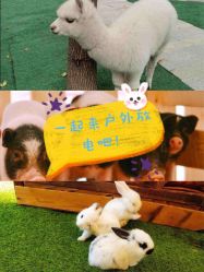 -萌宠亲子动物乐园(槐房万达店)