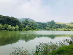 -南山风景名胜区