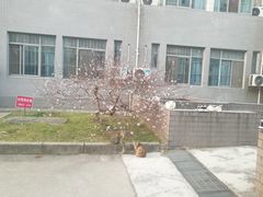 -江南大学(蠡湖校区)