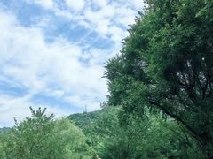 -西湖风景区-江洋畈生态公园