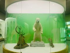 -国家自然博物馆