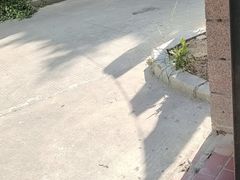 -徐小姐爱地锅(金博大广场店)