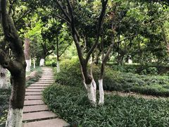 -杭州花家山庄