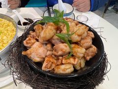 -丁老爷子苏香圆