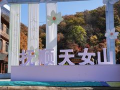 -天女山森林公园