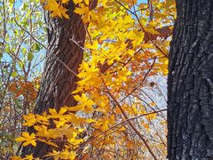 -北京西山国家森林公园