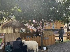 -HERRE·FARM 赫尔露营农场·团建聚会包场