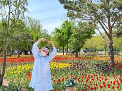 -长春公园(普阳街道)